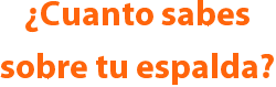 ¿Cuanto sabes sobre tu espalda?